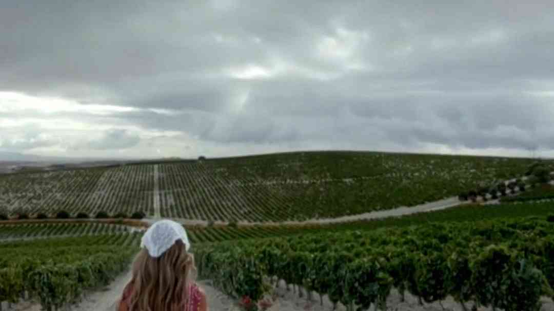 Premios Juventud y estilo de vida: conoce la historia y tradición de uno de los vinos más vendidos en el mundo | ViX