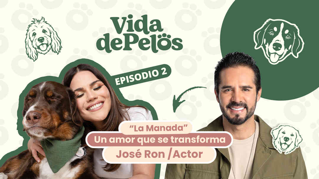 La manada, un amor que se transforma, con José Ron | ViX