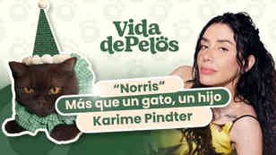 Karime y Norris: más que un gato, un hijo