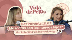 ¿"Pet Parents"? Las mascotas son los nuevos hijos, con María Antonieta Collins y Laura Rojas