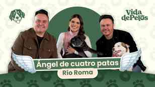 Río Roma: Ángel de cuatro patas