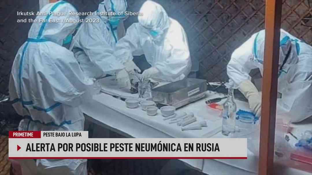 N+ Univision 24-7 Primetime: 6 de octubre, 2026 | ViX