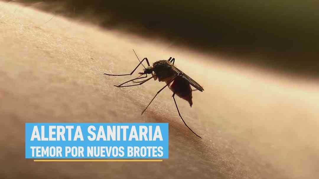 La Voz de la Mañana: 6 de octubre, 2026 | ViX