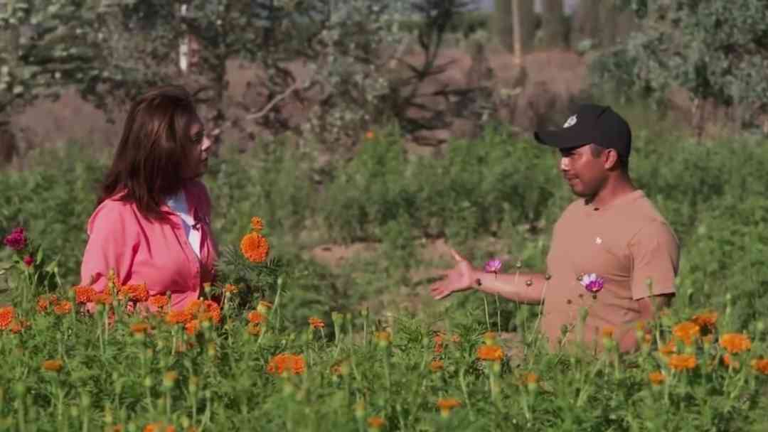 Trabajadores agrícolas en alerta por el huracán Polo: El temor por sus cultivos y la falta de protección en la zona | ViX