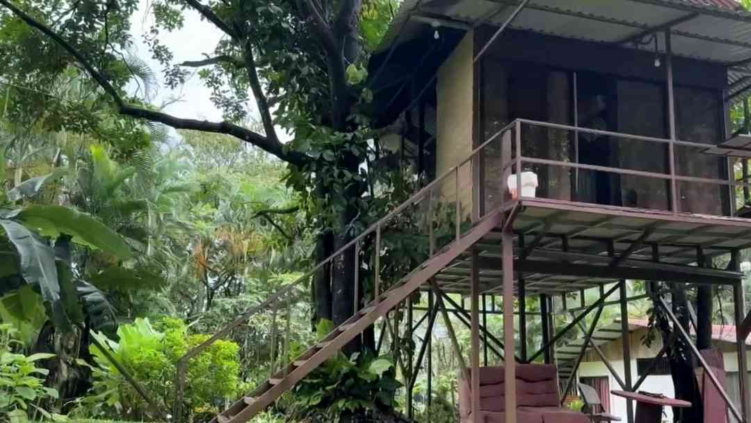 Un meteorito transformó por completo la vida de una comunidad en Costa Rica; esto fue lo que pasó | ViX
