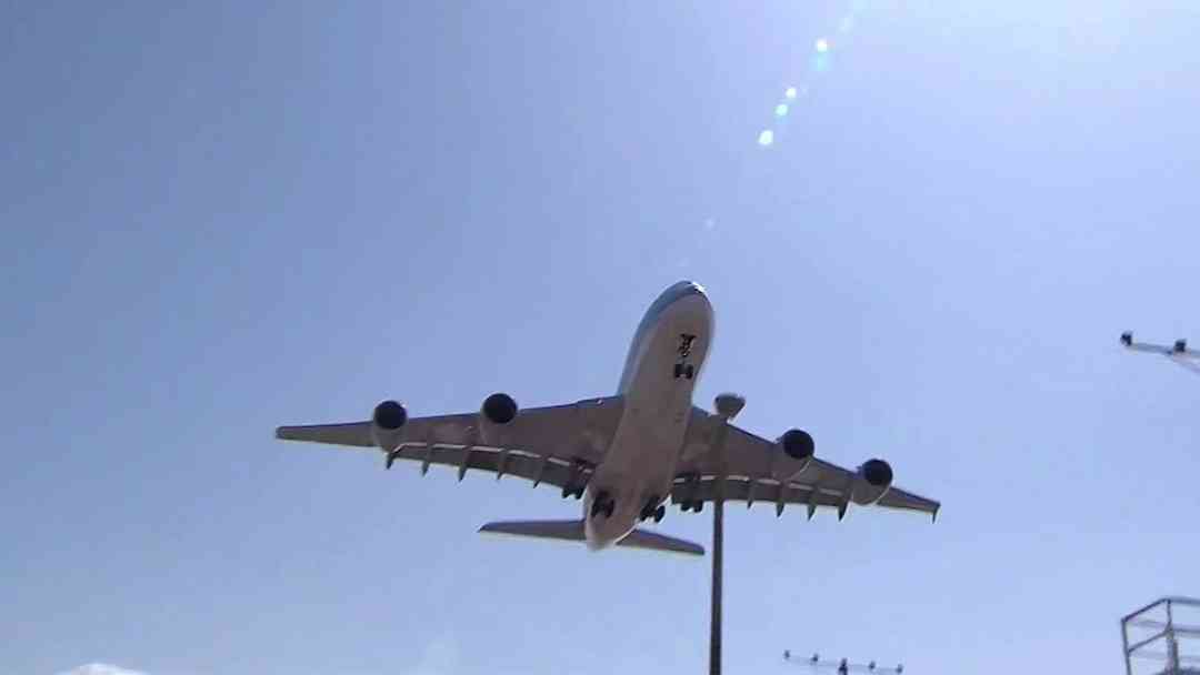 Planifica tus fiestas con tiempo: Cuándo comprar los boletos de avión para Acción de Gracias y Navidad | ViX